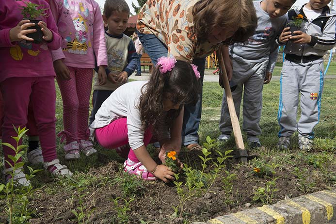 Roma children planting a seedling
