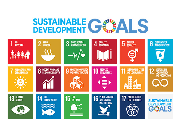 Sustainable Development Goals poster showing icons for each of the 17 goals 