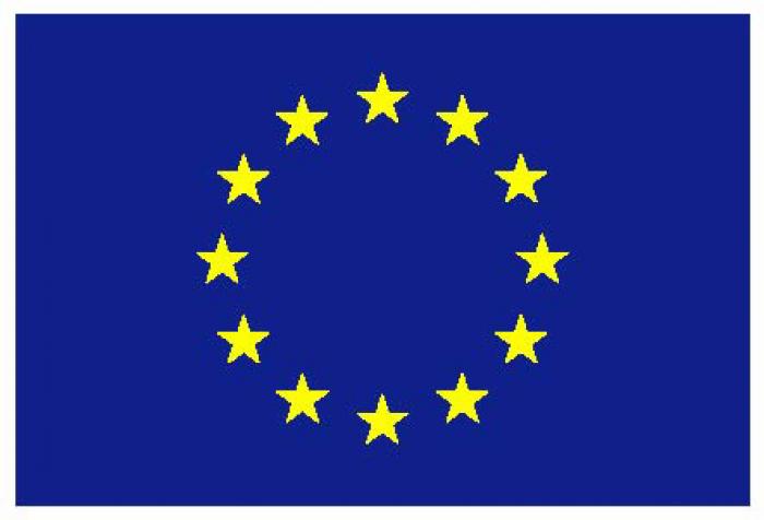 EU:n lippu