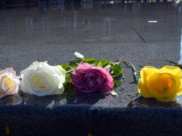 Roses on wet marble as remembrance