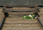 holocaust-day-2012-med_medium