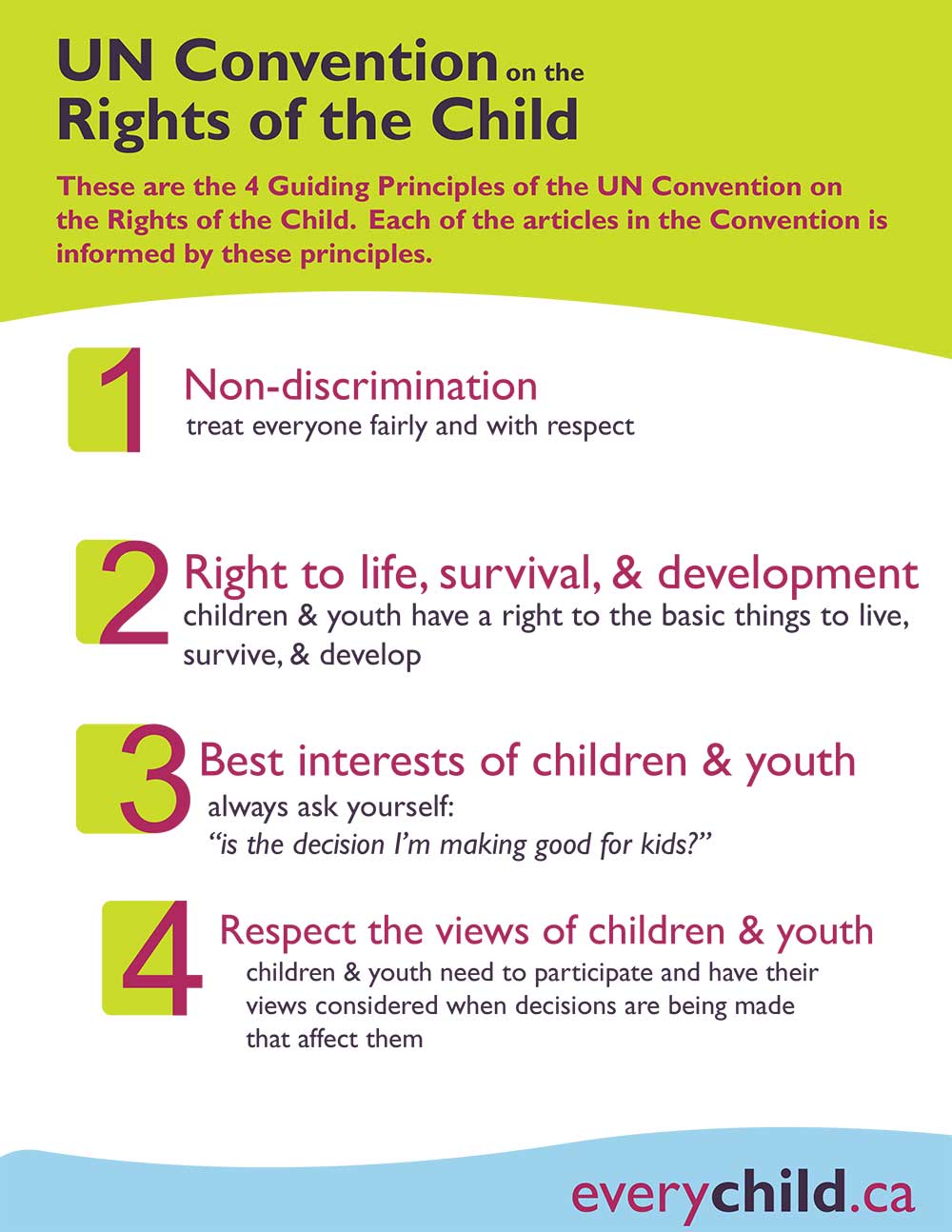 ¿Cuáles son los 4 derechos básicos del niño?