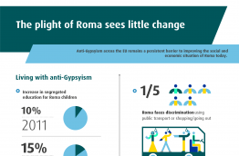 The plight of Roma sees little change