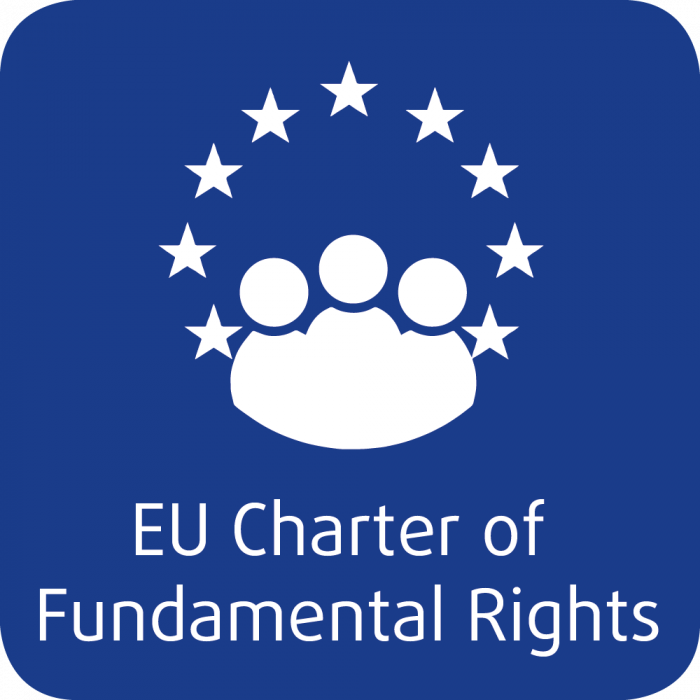 Challenges and opportunities for the implementation of the Charter of