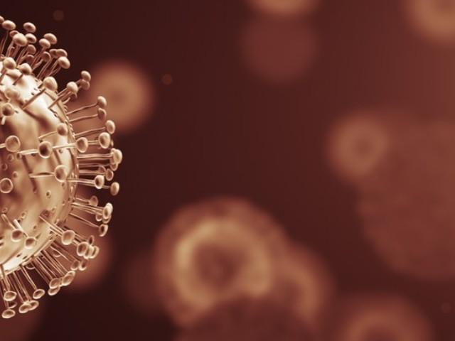 Covid-19 coronavirus cells infection