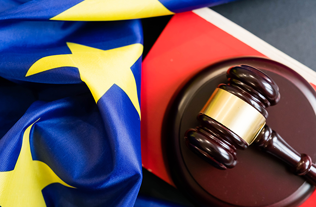 Wooden gavel on european union flag 
